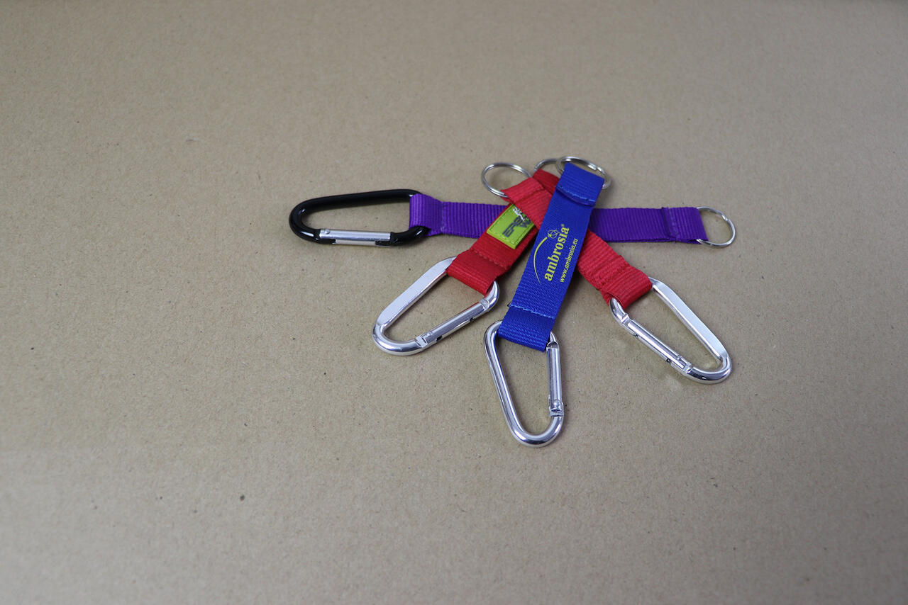 Aluminium Carabiner Keychain image