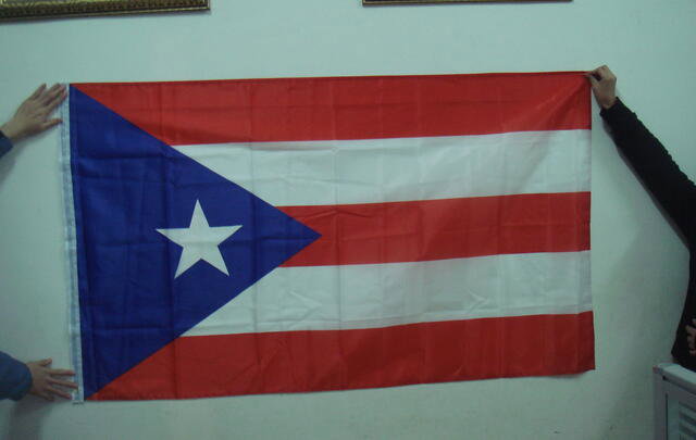 Flag 90x150cm image